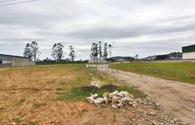 Terreno comercial à venda na Avenida Deltaville, Beira Rio, Biguaçu