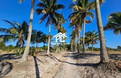 Sítio exclusivo: casa à venda em araruama-rj, área com 64.000m²