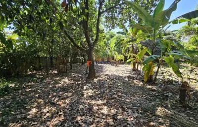 Chácara / sítio com 2 quartos à venda na Rua Plínio Nascimento, 270, Nova Veneza, Paulínia
