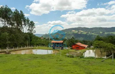 Sítio na serra catarinense com cachoeiras e terreno de 150.000m² ( 15 hectares ) à venda em alfredo wagner/sc