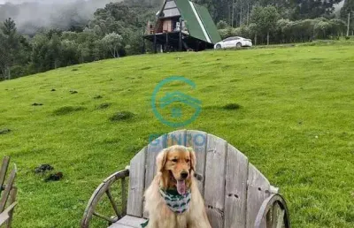 Chalé e uma cabana com vista para as montanhas e terreno de 45.000m² (4.5 hectares à venda em urubici/sc