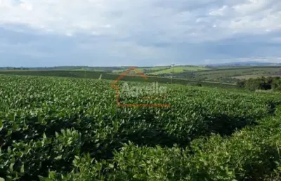 Sítio com 8 alqueires á venda no distrito martinho prado junior - mogi guaçu-sp.