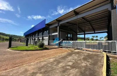 Barracão / galpão para locação com 6000 m² - conjunto habitacional jamile dequech - londrina/pr