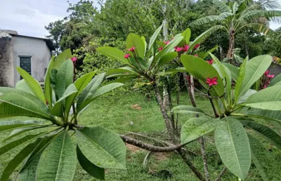 Terreno à venda na Rua Governador Valadares, 00, Campo Alegre, Nova Iguaçu