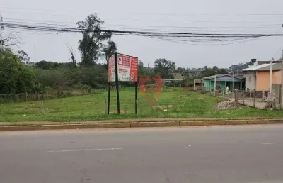 Terreno à venda, 2700 m² por r$ 750.000,00 - passo da caveira - gravataí/rs