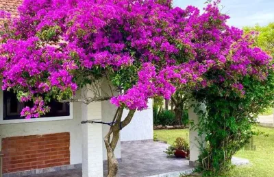 Casa com 5 quartos à venda na Rua Santana, 1510, Centro, Imbé