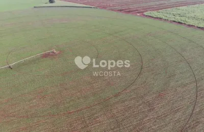 Fazenda à venda no Centro, Conceição das Alagoas 