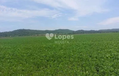 Fazenda à venda no Centro, Confresa 