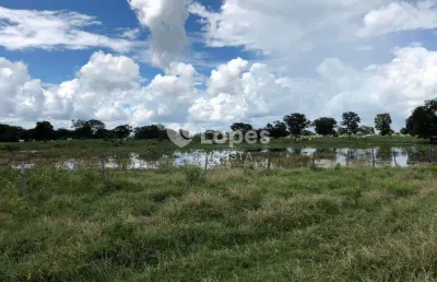 Fazenda à venda no Centro, Janaúba 