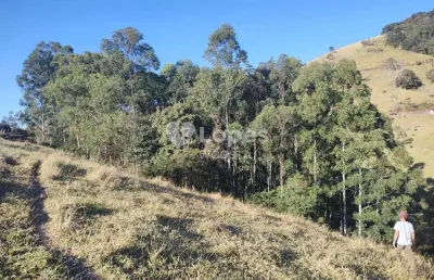 Fazenda à venda no Centro, Córrego do Bom Jesus 