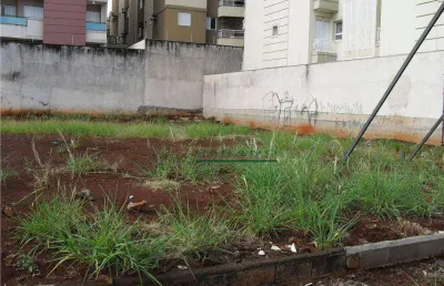 Terreno para alugar, 768 m² por r$ 30.000,00/mês - jardim botânico - ribeirão preto/sp