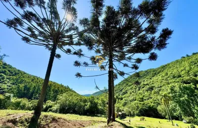 Chácara / sítio com 3 quartos à venda na municipal claudino antonio da costa, 1, santa lúcia do piaí, caxias do sul por r$ 645.000