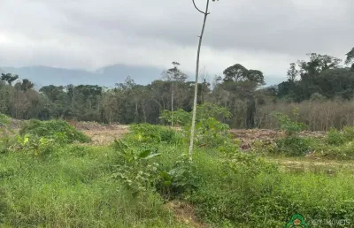 Área à venda, praia da baleia, camburi, são sebastião, sp