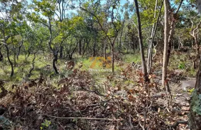 Terreno, 2.618 m² - próximo ao limpão, n° 04 - palmas/to