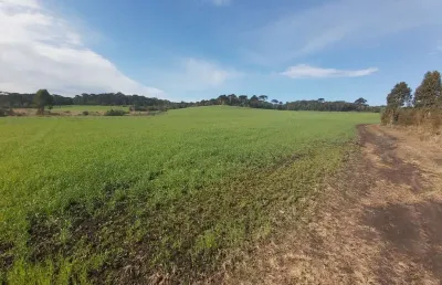 Terreno à venda na Estrada Velha Curitiba Joinville, Rincão, Tijucas do Sul