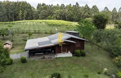 Chácara à venda no bairro são gotardo (distrito) - flores da cunha/rs