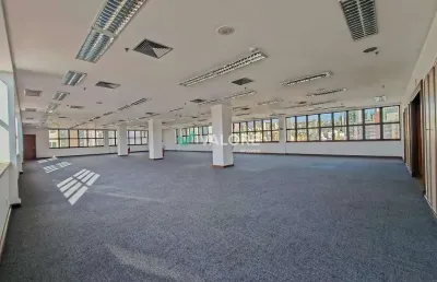 Ponto comercial para alugar na Rua Levindo Lopes, Savassi, Belo Horizonte