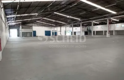 Galpão 11.000m² 4 docas 8 de pé direito na vila leopoldina