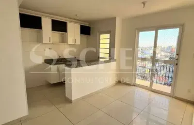 Apartamento à venda na vila santa catarina, 2 quartos 1 vaga