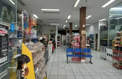 Casa comercial para locação, 2 salões, 5 banheiros, 5 vagas, santo amaro