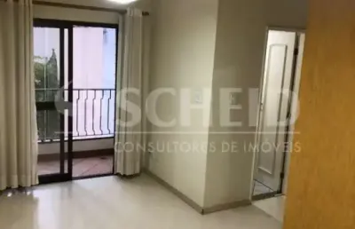 Apartamento 2 dormitórios à venda na vila mascote em são paulo