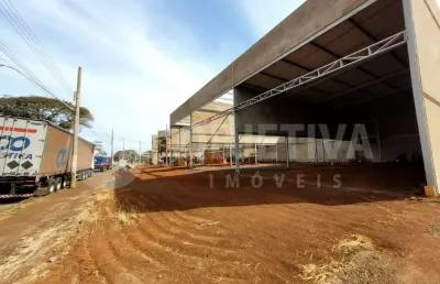 Galpão para aluguel, 4 vagas, santa monica - uberlandia/mg