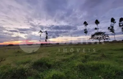 Sítio com 75.000m², topografia plana, 4 km do trevo da petrobras - uberlândia