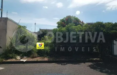 Excelente lote residencial no bairro jardim das palmeiras