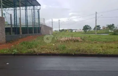 Terreno comercial para alugar no Novo Mundo, Uberlândia 