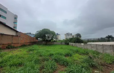 Terreno comercial para alugar no Patrimônio, Uberlândia 