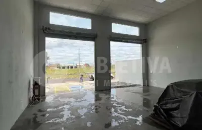 Galpão para aluguel, 2 vagas, loteamento monte hebron - uberlandia/mg