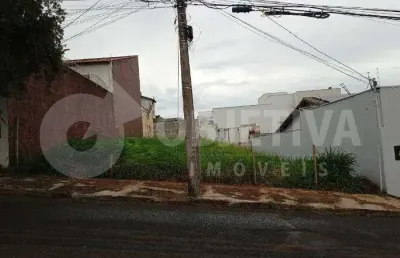 Lote de gaveta disponível para venda no bairro vigilato pereira em uberlândia