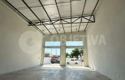 Loja para aluguel, 2 vagas, jardim holanda - uberlandia/mg
