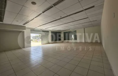 Loja para aluguel, 12 vagas, novo mundo - uberlandia/mg