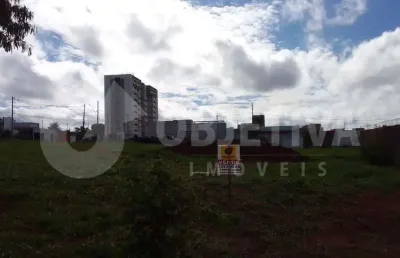 Excelente lote em avenida comercial de grande valorização do portal do vale em uberlândia
