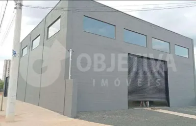 Galpão à venda, 3 vagas, novo mundo - uberlandia/mg