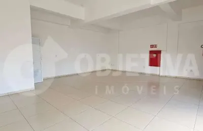 Loja para aluguel, 1 vaga, alto umuarama - uberlandia/mg