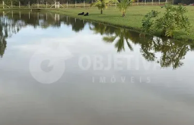 Fazenda à venda, 2 quartos, 1 suíte, 22 vagas, zona rural - uberlandia/mg