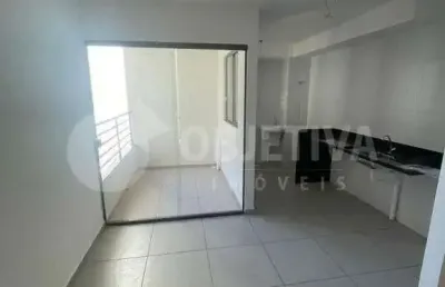 Apartamento para aluguel, 2 quartos, 1 suíte, 1 vaga, shopping park - uberlandia/mg