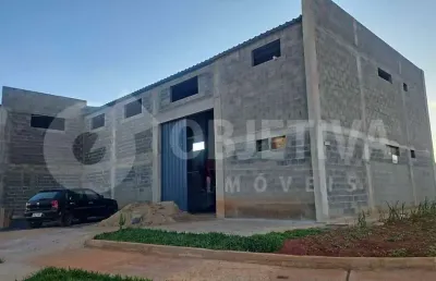 Galpão para aluguel, 4 vagas, loteamento centro empresarial leste iii - uberlandia/mg