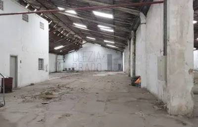 Barracão / galpão / depósito com 4 salas para alugar na chácara santo antônio, são paulo , 5963 m2 por r$ 97.800