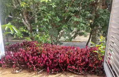 Sobrado com 4 quartos à venda em jardim das bandeiras - sp