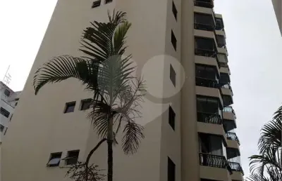 Apartamento com 3 quartos à venda ou para locação em sumaré - sp