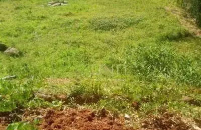 Terreno à venda, 1086 m² por r$ 1.600.000,00 - jurerê - florianópolis/sc