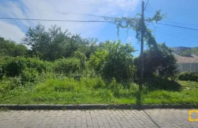 Terreno à venda na Das Paineiras, 00, Daniela, Florianópolis