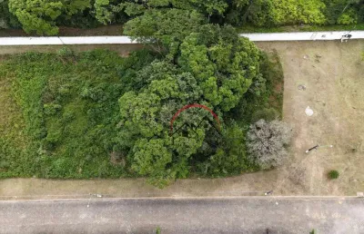 Terreno em condomínio fechado à venda na Avenida Central C, 16, Bougainvillee V, Peruíbe