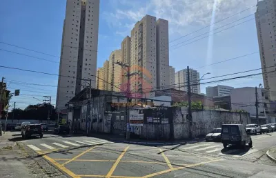 Terreno comercial para alugar na Rua Onze de Agosto, 498, Jardim Zaira, Guarulhos