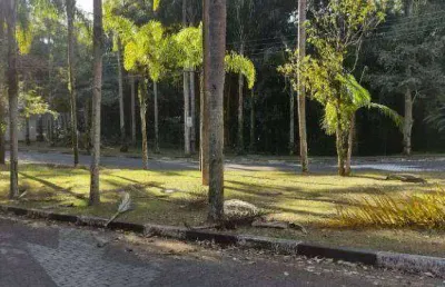 Terreno em condomínio fechado à venda na Avenida Nova Cantareira, Tucuruvi, São Paulo