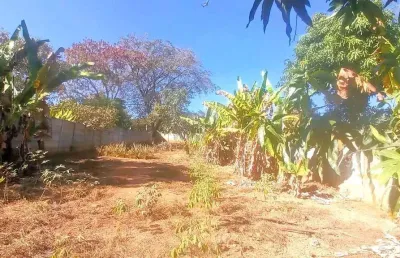 Lotes à venda no bairro vila maria regina em juatuba | juatuba imóveis