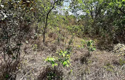 Lote de 360 m a venda no bairro parque da serra azul | juatuba imóveis |